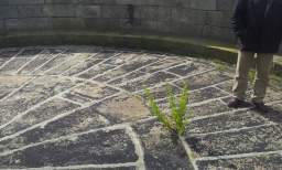 sandymount tower 10935.jpg